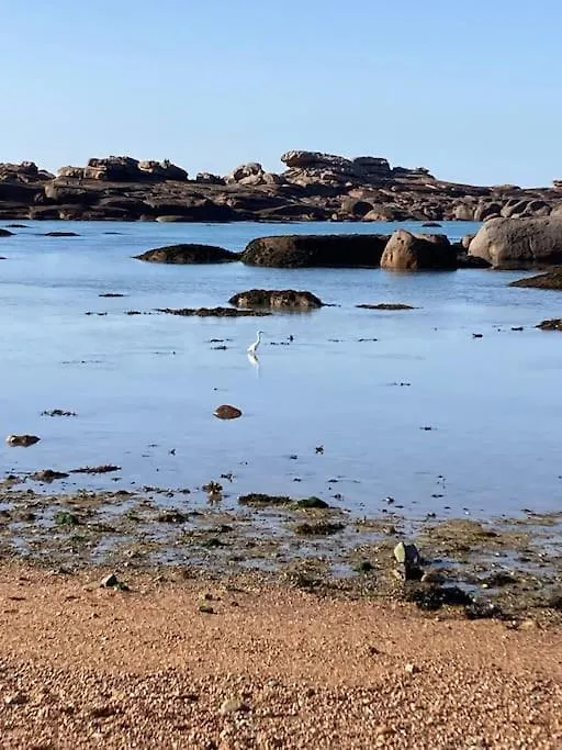 La Bernique Blanche De Perros Vue Mer 4 Personnes France